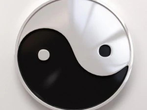 yin yang 3D Model