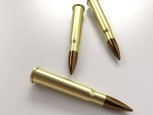 ammunition 303 3D Model
