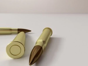 ammunition 303 3D Model