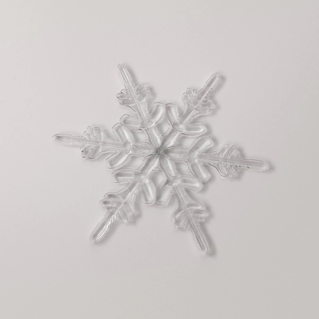 snowflake 3D Model .c4d .max .obj .3ds .fbx .stl .blend 