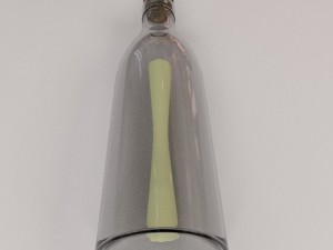 letter in bottle 3D Modell