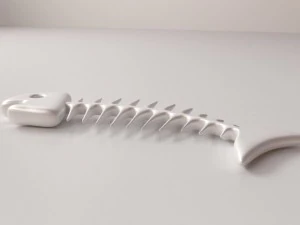 fish bone 3D Model
