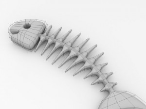 fish bone 3D Model