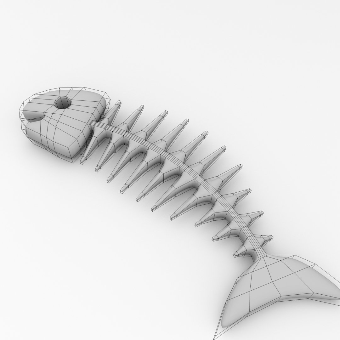 Fish Bone 3d Model In Miscellaneous 3dexport