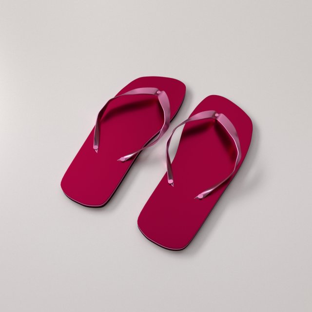slippers 3D Model .c4d .max .obj .3ds .fbx .stl .blend 