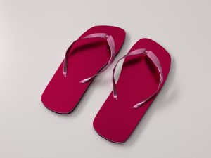 slippers 3D Model