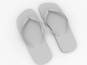 slippers 3D Model