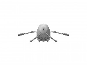 Cartoon Ant Modello 3D