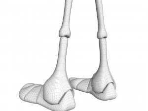Semut Kartun Model 3D