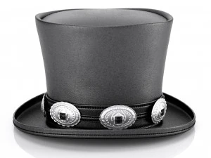 Eğik &ccedil;izgi şapkası 3D Model