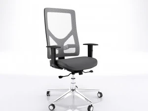 Ergonomik ofis koltuğu koko net 3D Model