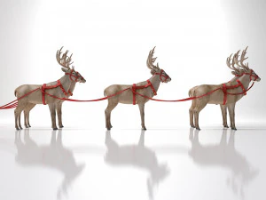 Kerstmanslee met rendieren 3D Model