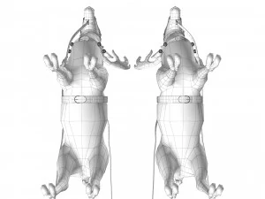 Kerstmanslee met rendieren 3D Model