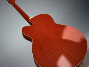 gretsch chet atkins Model 3D