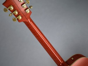 gretsch chet atkins Model 3D