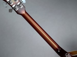 hofner violin bass guitar Modèle 3D