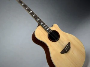 Yamaha apx 3D Model