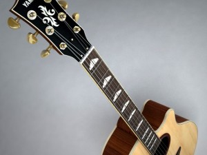 yamaha apx 3D Model