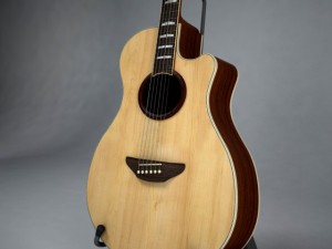 yamaha apx 3D Model