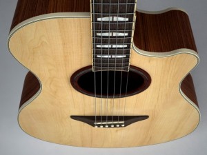 yamaha apx 3D Model