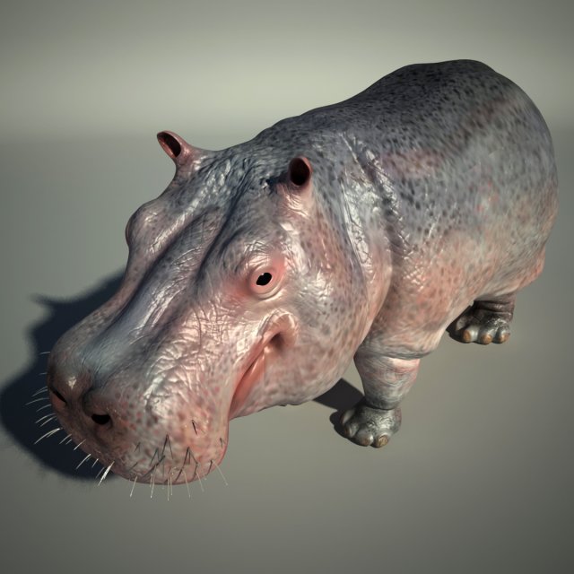 hippo 3D Модель .c4d .max .obj .3ds .fbx .stl .blend 