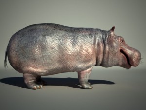 hippo 3D Модель