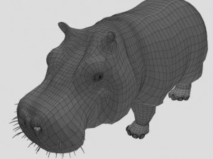 hippo 3D Model