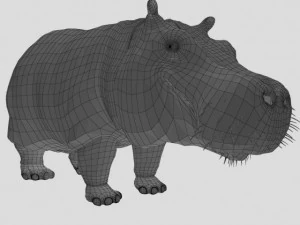 hippo 3D Model