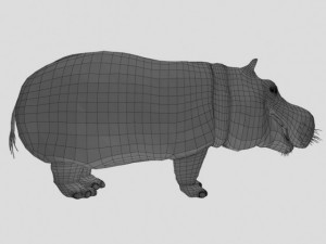 hippo 3D Модель