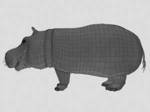hippo 3D Модель