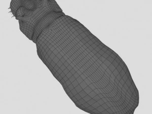 hippo 3D Model