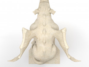 Gargoyle Gothic Statue 3D Модель