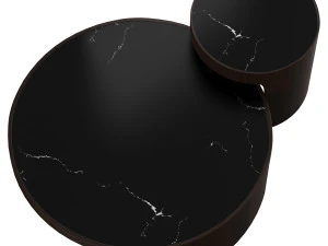 Wooddi Coffee Tables Liaigre 3D Model