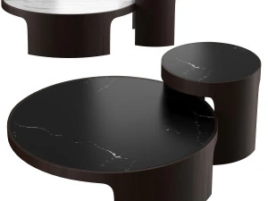 Wooddi Coffee Tables Liaigre 3D Model