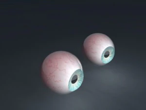 green eyes 3D Model