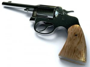 colt 3D Model