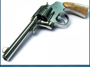 colt 3D Model