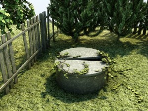 ruined house with garden Modelo 3D