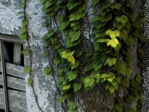 ruined house interior 3D Model