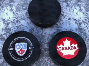 hockey washers nkl 2013 3D 모델