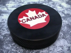 hockey washers nkl 2013 3D Model