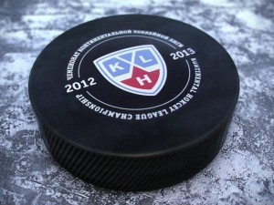 hockey washers nkl 2013 3D 模型