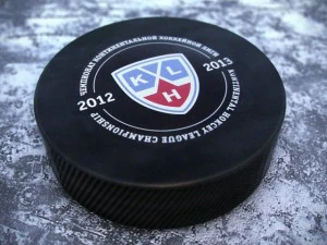 hockey washers nkl 2013 3D Model