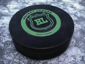 hockey washers nkl 2013 3D 模型