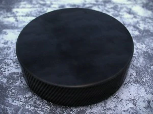 hockey washers nkl 2013 3D Model