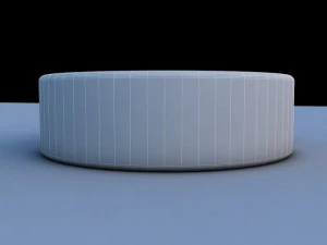 hockey washers nkl 2013 3D Model