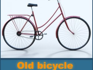 old bicycle 3Dモデル