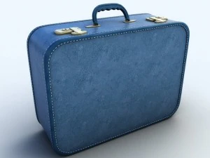 old big suitcases 2 colors 3D Model