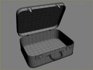 old big suitcases 2 colors 3D Model