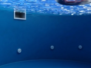 garden pool 3D Model